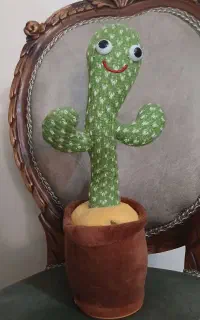 کاکتوس موزیکال