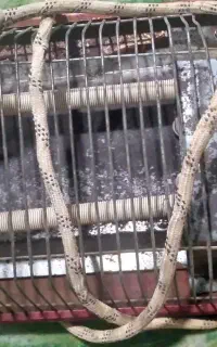 هیتر‌برقی‌سالم‌