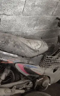 موتور