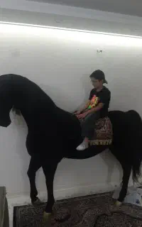 ماکت اسب واقعی با بهترین کیفیت