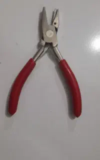 انبر صحافی پانچ