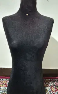 مانکن سوزن خور