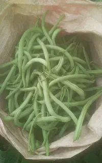 لوبیا سبز درجه یک قیمت ۴۰ هزار تومان