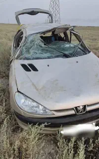 ۲۰۶ تصادفی