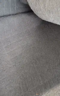 موکت طوسی