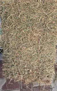 یونجه پرسی خلخال