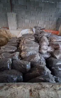 فروش خرمای ضایعات