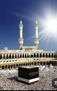 خرید و فروش فیش حج عمره و تمتع