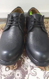 کفش مجلسی نو