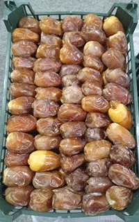 رطب عسلی