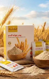 پودر جوانه گندم