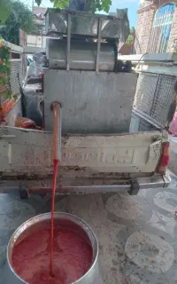 آب گیری گوجه درب منزل در کمترین زمان باکیفیت کیلو۳