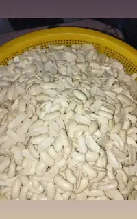 باقالی کشاورزی