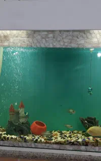 آکواریوم