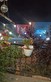 همکار ملکی آنلاین و حضوری خانم نیازمندم