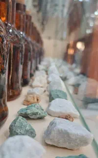 فروشنده عطر و ادکلن