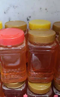 عسل صددرصد طبیعی