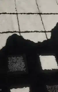 فرش