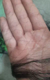 تور ماهیگیری