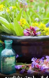 فرصت شغلی برای خانم ها