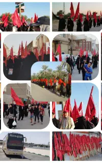 کربلا اربعین زائر اولی رایگان