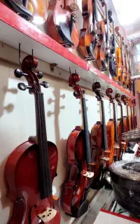 انواع ویولن (فروشگاه آرتا ساز) پخش