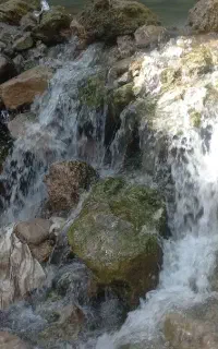 طبیعت گردی یک روزه