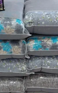 تشک مهمان