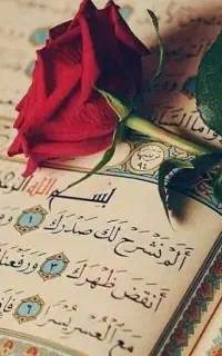 استخاره رایگان و فال ترکیبی