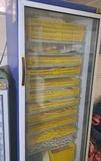 دستگاه جوجه کشی بلدرچین دماوند 1000تایی