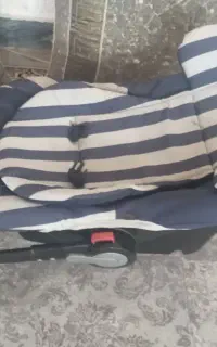 کریر نوزاد