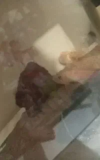 کت فیش شکلاتی و لجن خوار