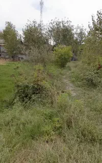 کارگر روزمزد