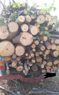 خرید چوب