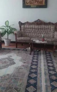 فرش ۲ در ۳ شش متری چهار عدد