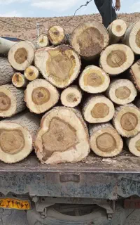 خریدارانواع چوب