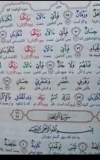 دوجلد