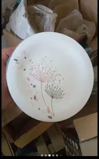 آرکوپال
