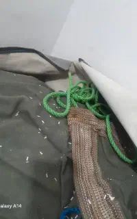 چادور
