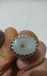 شجر قائن