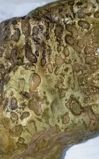 شهاب سنگ سبز