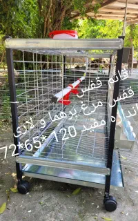 قفس مرغ و جوجه