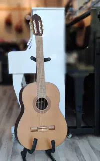 گیتاربنبرگ542مات در رویال موزیک