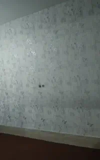 دکور کاغذ دیواری
