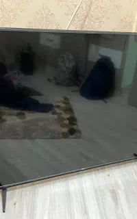 تلویزیون