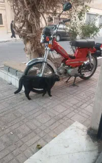 موتور پاژنگ 70 سی سی