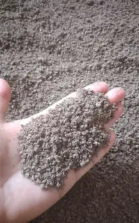 کنجاله زیتون خوراک ارزان جوجه مرغ گوشتی و تخم‌گذار