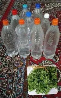 عرق کوتکوتو و نعناع تازه و اصل