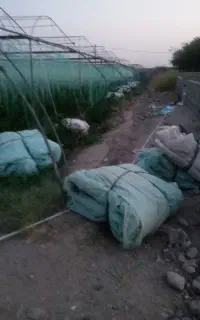 انجام  کارهای گلخانه پلاستیک کنی و...