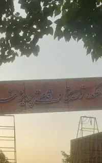 نیروی کار